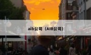 aib公司（AIB公司）