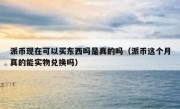派币现在可以买东西吗是真的吗（派币这个月真的能实物兑换吗）
