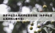 快手评论怎么关闭评论显示功能（快手评论怎么关闭别人看不见）