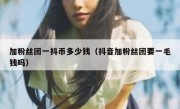 加粉丝团一抖币多少钱（抖音加粉丝团要一毛钱吗）