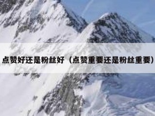 点赞好还是粉丝好（点赞重要还是粉丝重要）