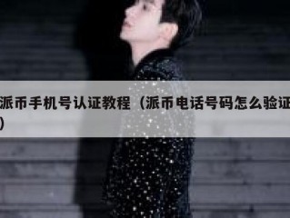 派币手机号认证教程（派币电话号码怎么验证）
