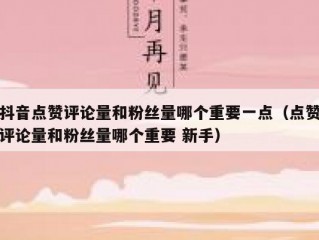 抖音点赞评论量和粉丝量哪个重要一点（点赞评论量和粉丝量哪个重要 新手）