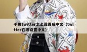 手机twitter怎么设置成中文（twitter在哪设置中文）