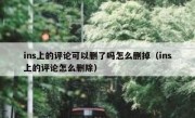 ins上的评论可以删了吗怎么删掉（ins上的评论怎么删除）