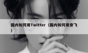 国内如何用Twitter（国内如何用奈飞）