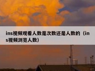 ins视频观看人数是次数还是人数的（ins视频浏览人数）