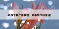 派币下载注册教程（派币的注册流程）