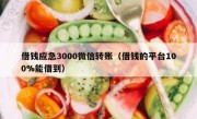 借钱应急3000微信转账（借钱的平台100%能借到）