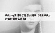 手机pay支付不了是怎么回事（请用手机pay支付是什么意思）