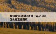 如何看youtube直播（youtube怎么看直播回放）