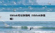 tiktok可以挣钱吗（tiktok挣钱嘛）