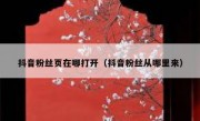 抖音粉丝页在哪打开（抖音粉丝从哪里来）