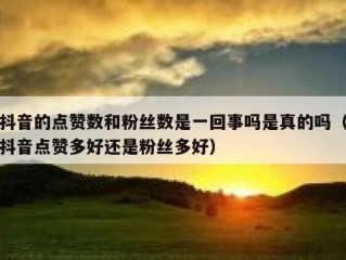 抖音的点赞数和粉丝数是一回事吗是真的吗（抖音点赞多好还是粉丝多好）