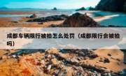 成都车辆限行被拍怎么处罚（成都限行会被拍吗）