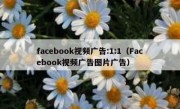 facebook视频广告:1:1（Facebook视频广告图片广告）