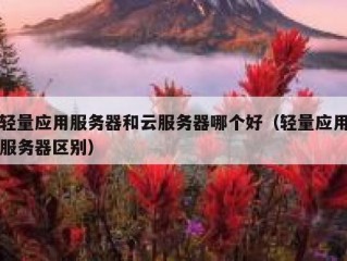 轻量应用服务器和云服务器哪个好（轻量应用服务器区别）