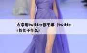 大家用twitter都干嘛（twitter都能干什么）