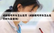成都限号开车怎么处罚（成都限号开车怎么处罚好久能查询）