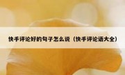 快手评论好的句子怎么说（快手评论语大全）