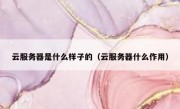 云服务器是什么样子的（云服务器什么作用）