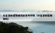 抖音涨粉涨赞赚钱前景如何呢（抖音涨粉能赚钱吗）