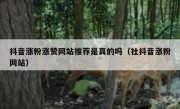 抖音涨粉涨赞网站推荐是真的吗（社抖音涨粉网站）