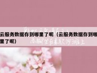 云服务数据存到哪里了呢（云服务数据存到哪里了呢）