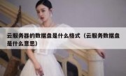 云服务器的数据盘是什么格式（云服务数据盘是什么意思）