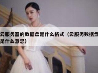 云服务器的数据盘是什么格式（云服务数据盘是什么意思）