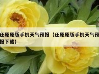 还原原版手机天气预报（还原原版手机天气预报下载）