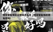 樱花智能锁忘记密码怎么办（樱花智能锁的初始密码）