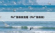 fb广告投放流程（fb广告投放）