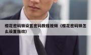 樱花密码锁设置密码教程视频（樱花密码锁怎么设置指纹）
