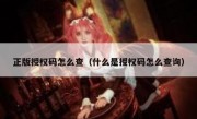 正版授权码怎么查（什么是授权码怎么查询）