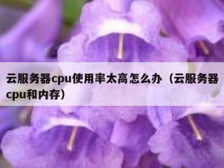 云服务器cpu使用率太高怎么办（云服务器cpu和内存）