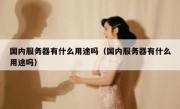 国内服务器有什么用途吗（国内服务器有什么用途吗）