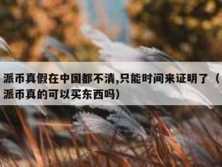 派币真假在中国都不清,只能时间来证明了（派币真的可以买东西吗）