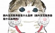 国内主流服务器是什么品牌（国内主流服务器是什么品牌的）