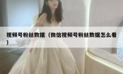 视频号粉丝数据（微信视频号粉丝数据怎么看）