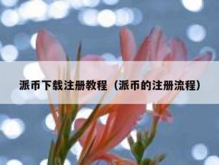 派币下载注册教程（派币的注册流程）