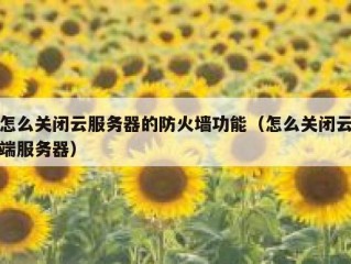 怎么关闭云服务器的防火墙功能（怎么关闭云端服务器）