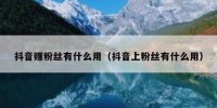 抖音赚粉丝有什么用（抖音上粉丝有什么用）