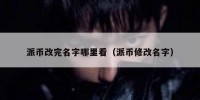 派币改完名字哪里看（派币修改名字）