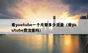 看youtube一个月要多少流量（看youtube费流量吗）