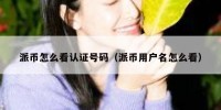 派币怎么看认证号码（派币用户名怎么看）