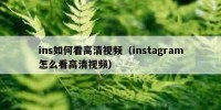 ins如何看高清视频（instagram怎么看高清视频）