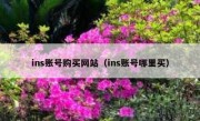 ins账号购买网站（ins账号哪里买）