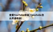 查看YouTube收益（youtube怎么开通收益）