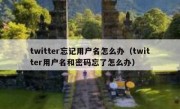 twitter忘记用户名怎么办（twitter用户名和密码忘了怎么办）